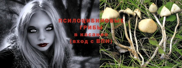 стафф Белоозёрский