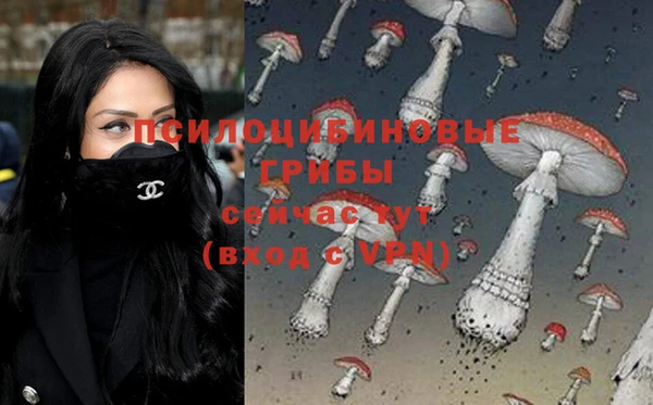 скорость Белокуриха