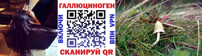 Псилоцибиновые грибы ЛСД  Купить закладки  Баймак 